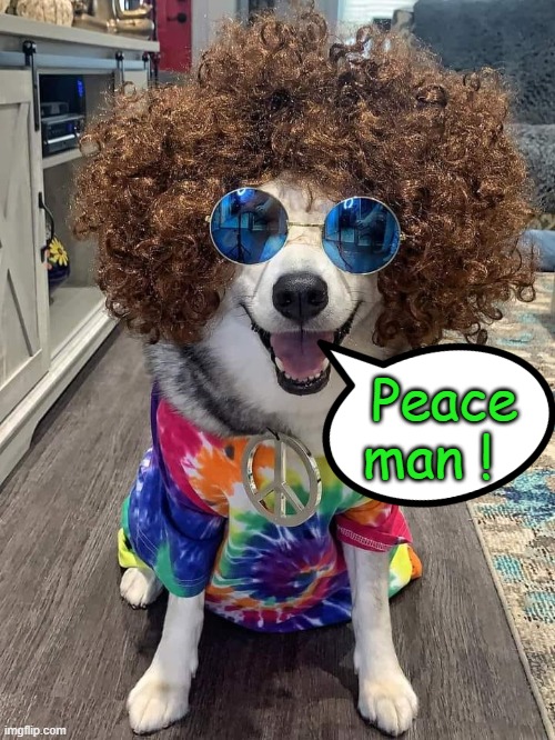 Hippy hound ! | Peace
man ! | image tagged in i love lucy | made w/ Imgflip meme maker