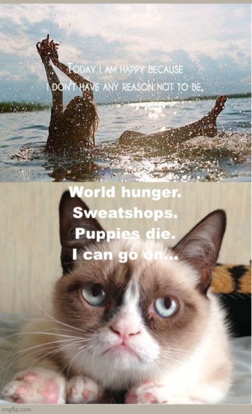 Grumpy not Happy | image tagged in grumpy cat,rules | made w/ Imgflip meme maker