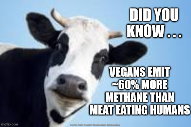Humans emit Methane | DID YOU KNOW . . . VEGANS EMIT ~60% MORE METHANE THAN MEAT EATING HUMANS; #COP-26 #VEGAN #FARMERS #SAVETHEPLANET #GLOBALWARMING | image tagged in veganfiles,greta thunberg,cow methane,global warming,cop26,savetheplanet | made w/ Imgflip meme maker