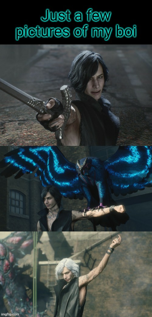 Sick theme, sick jacket, sick birb... What more could you ask for? | image tagged in v,devil may cry | made w/ Imgflip meme maker