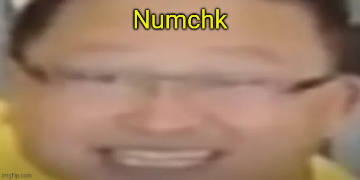 I love refrigerators | Numchk | image tagged in i love refrigerators | made w/ Imgflip meme maker