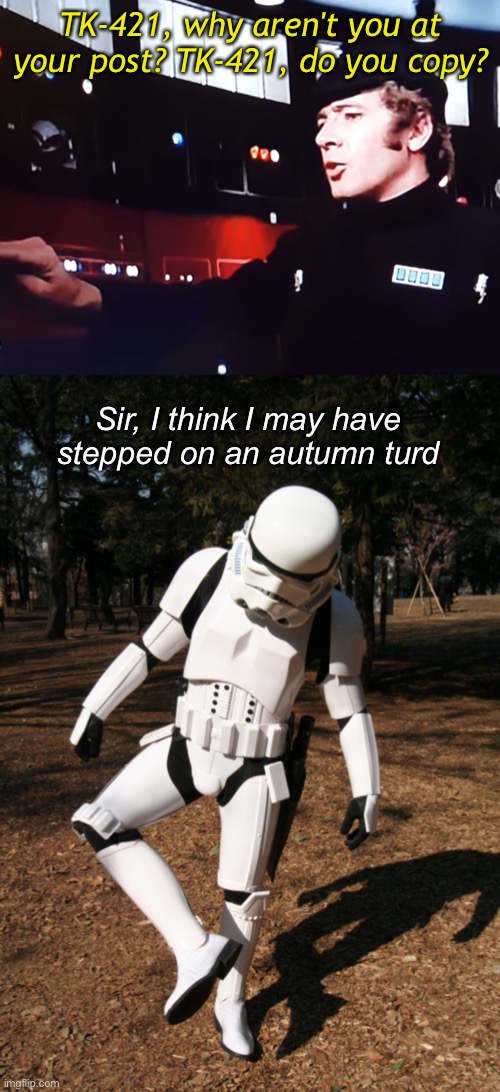 TK-421, why aren't you at your post? TK-421, do you copy? Sir, I think I may have stepped on an autumn turd | made w/ Imgflip meme maker