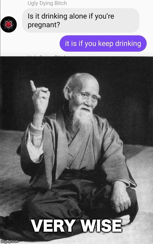 Noice | VERY WISE | image tagged in wise master,memes,unfunny | made w/ Imgflip meme maker