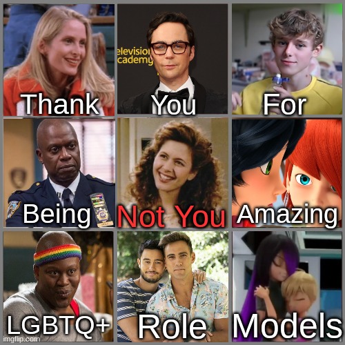 Why are you geh? |  Thank; For; You; Being; Amazing; Not You; Models; Role; LGBTQ+ | image tagged in not you | made w/ Imgflip meme maker