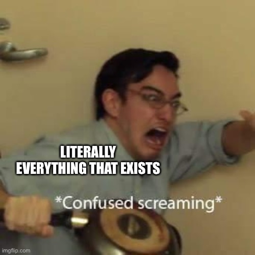 filthy frank confused scream | LITERALLY EVERYTHING THAT EXISTS | image tagged in filthy frank confused scream | made w/ Imgflip meme maker