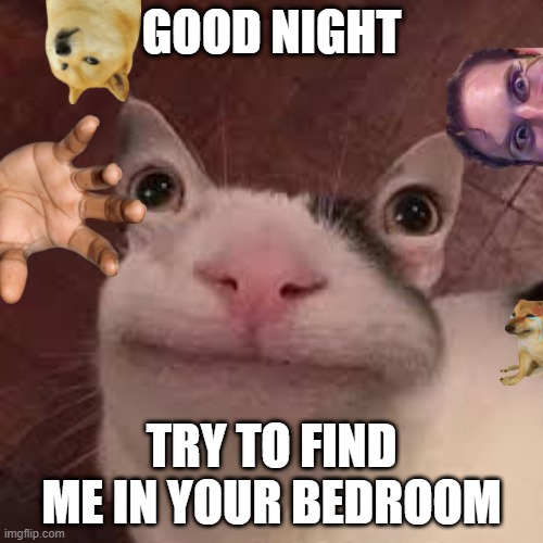 send this to a friend at night :) | GOOD NIGHT; TRY TO FIND ME IN YOUR BEDROOM | image tagged in alien cat | made w/ Imgflip meme maker