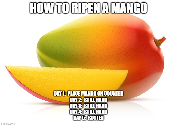 How to Ripen a Mango | HOW TO RIPEN A MANGO; DAY 1:  PLACE MANGO ON COUNTER
DAY 2:  STILL HARD
DAY 3:  STILL HARD
DAY 4:  STILL HARD
DAY 5:  ROTTEN | image tagged in mango | made w/ Imgflip meme maker