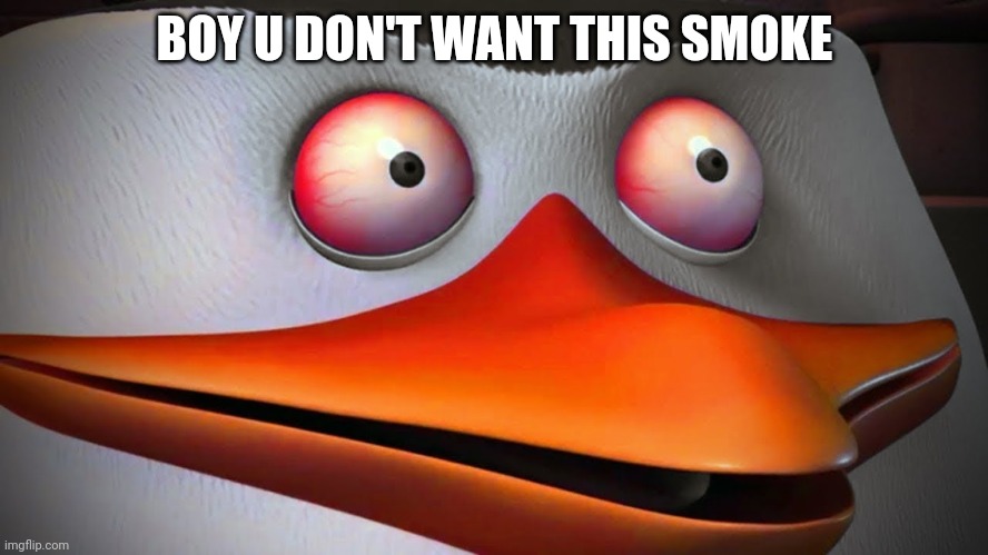 red eyes penguin skipper | BOY U DON'T WANT THIS SMOKE | image tagged in red eyes penguin skipper | made w/ Imgflip meme maker