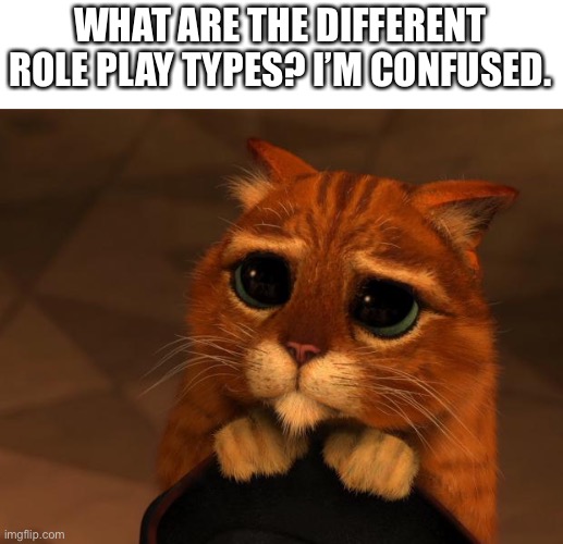 puss in boots eyes | WHAT ARE THE DIFFERENT ROLE PLAY TYPES? I’M CONFUSED. | image tagged in puss in boots eyes,roleplaying,roleplay | made w/ Imgflip meme maker