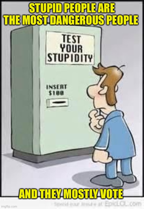 Test Your Stupidity | STUPID PEOPLE ARE THE MOST DANGEROUS PEOPLE; AND THEY MOSTLY VOTE | image tagged in test your stupidity | made w/ Imgflip meme maker