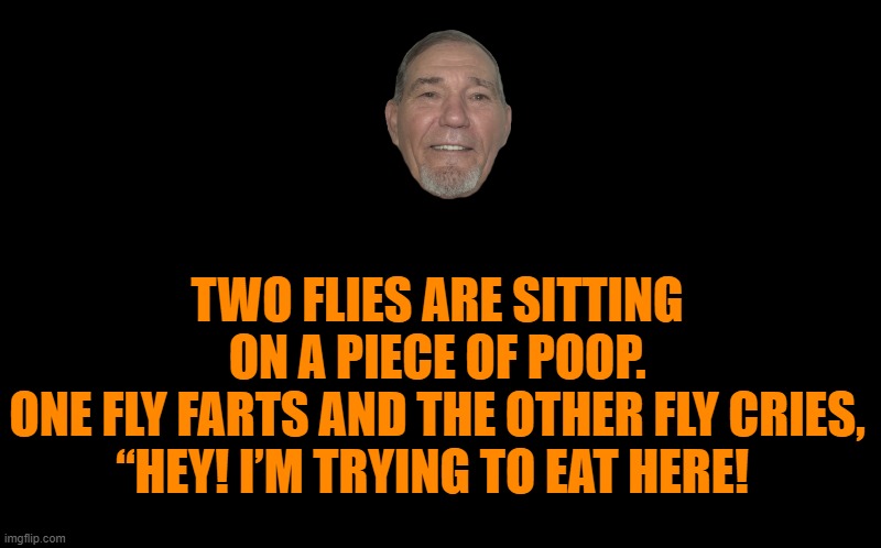 Manners please! | TWO FLIES ARE SITTING ON A PIECE OF POOP.
ONE FLY FARTS AND THE OTHER FLY CRIES, “HEY! I’M TRYING TO EAT HERE! | image tagged in black screen,fly fart | made w/ Imgflip meme maker