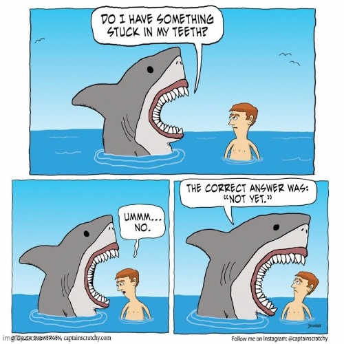 Uh oh (Credit of creator’s Instagram in comments) | image tagged in comic,shark | made w/ Imgflip meme maker