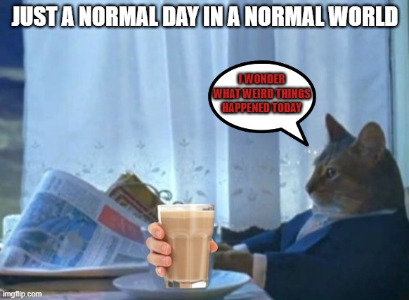is choccy milk better than coffee ;) | JUST A NORMAL DAY IN A NORMAL WORLD; I WONDER WHAT WEIRD THINGS HAPPENED TODAY | image tagged in memes,i should buy a boat cat | made w/ Imgflip meme maker