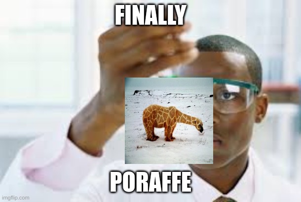 Finnaly | FINALLY; PORAFFE | image tagged in finnaly | made w/ Imgflip meme maker