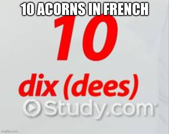 bruh | 10 ACORNS IN FRENCH | image tagged in stupid | made w/ Imgflip meme maker