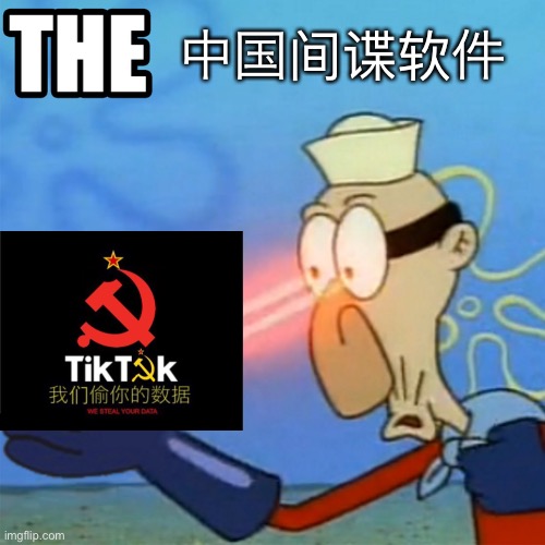 中国间谍软件 | 中国间谍软件 | image tagged in the,memes | made w/ Imgflip meme maker
