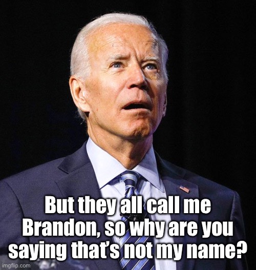 Joe Biden | But they all call me Brandon, so why are you saying that’s not my name? | image tagged in joe biden | made w/ Imgflip meme maker