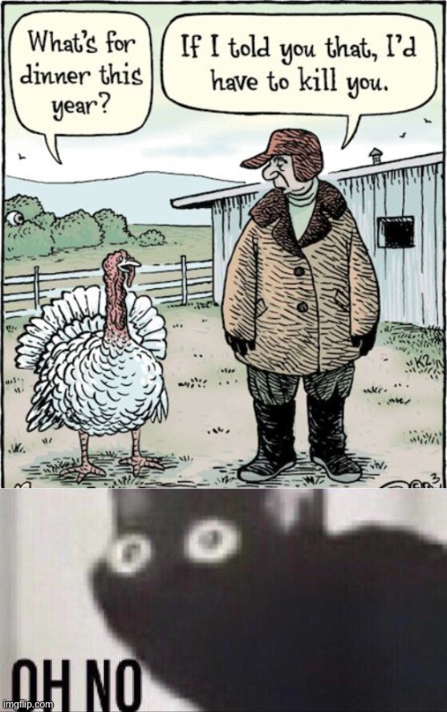 happy november! | image tagged in oh no cat,dark humor,thanksgiving,turkey,death | made w/ Imgflip meme maker