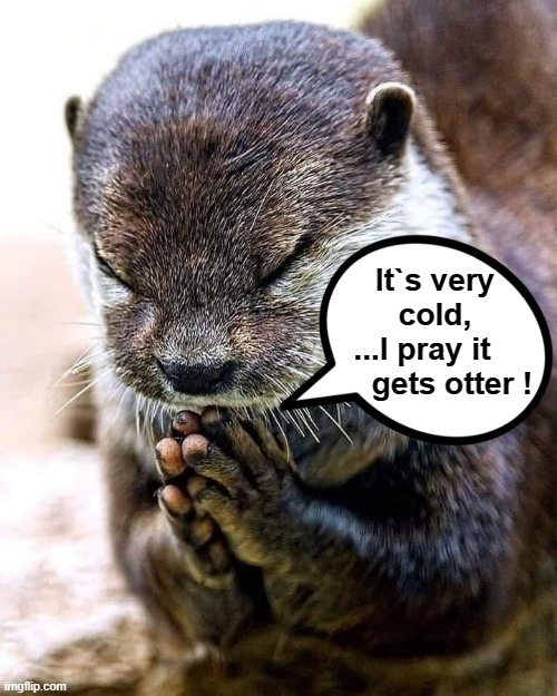 It`s cold ! | It`s very
cold,
...I pray it   
     gets otter ! | image tagged in freezing cold | made w/ Imgflip meme maker