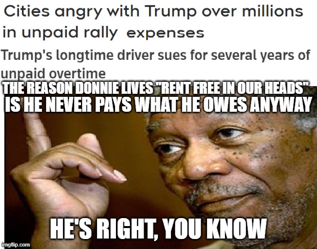 Rent Free Donnie Imgflip