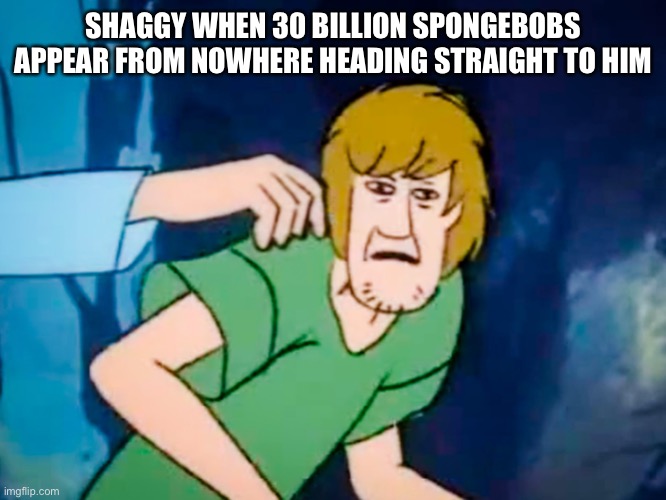 Shaggy meme | SHAGGY WHEN 30 BILLION SPONGEBOBS APPEAR FROM NOWHERE HEADING STRAIGHT TO HIM | image tagged in shaggy meme | made w/ Imgflip meme maker