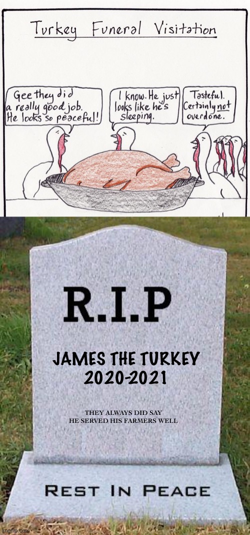 oop | JAMES THE TURKEY
2020-2021; THEY ALWAYS DID SAY HE SERVED HIS FARMERS WELL | image tagged in rip headstone,dark humor,thanksgiving,gravestone,turkey,funeral | made w/ Imgflip meme maker