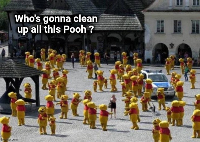 Somebody made a mess | Who's gonna clean
    up all this Pooh ? | image tagged in fancy pooh,x x everywhere,go bears,winnie the pooh | made w/ Imgflip meme maker