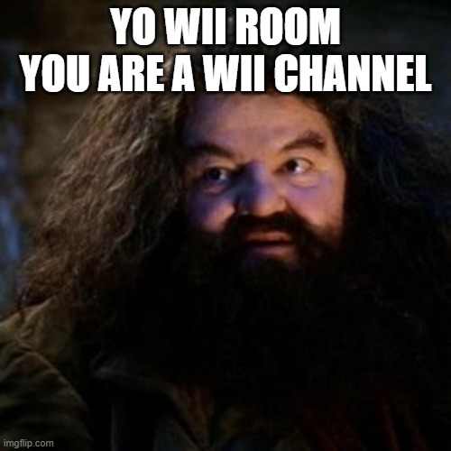 You're a wizard harry | YO WII ROOM YOU ARE A WII CHANNEL | image tagged in you're a wizard harry,wii | made w/ Imgflip meme maker