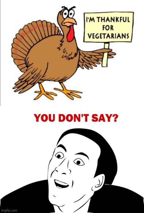true lol | image tagged in memes,you don't say,funny,dark humor,thanksgiving,vegetarian | made w/ Imgflip meme maker