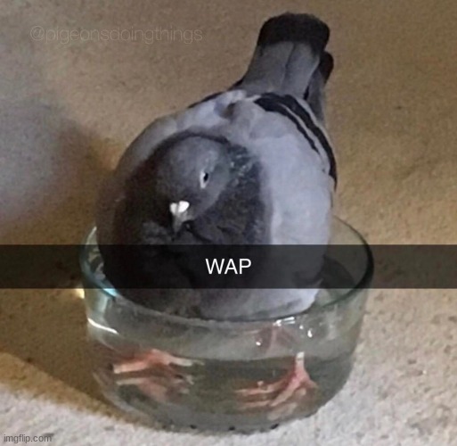 WAP | image tagged in cursed image | made w/ Imgflip meme maker