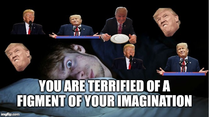 Extreme TDS | YOU ARE TERRIFIED OF A FIGMENT OF YOUR IMAGINATION | image tagged in extreme tds | made w/ Imgflip meme maker