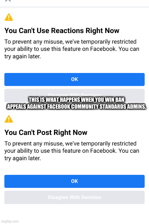 THIS IS WHAT HAPPENS WHEN YOU WIN BAN APPEALS AGAINST FACEBOOK COMMUNITY STANDARDS ADMINS. | image tagged in facebook,facebook community standards | made w/ Imgflip meme maker