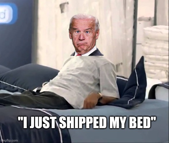 "I JUST SHIPPED MY BED" | image tagged in funny memes | made w/ Imgflip meme maker