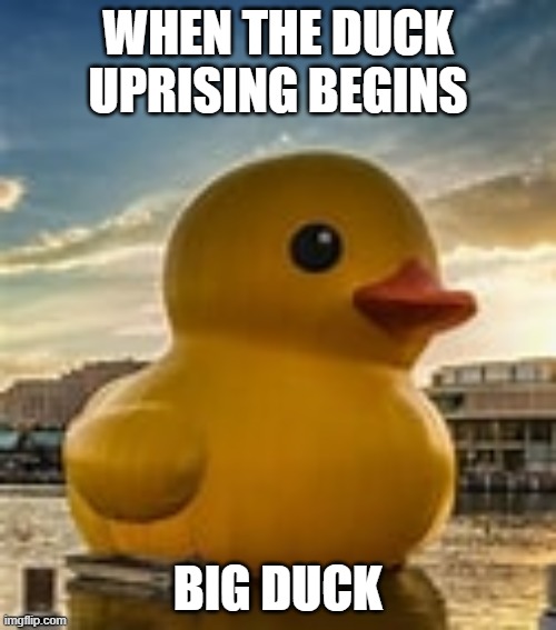 Duck | WHEN THE DUCK UPRISING BEGINS; BIG DUCK | image tagged in duck | made w/ Imgflip meme maker