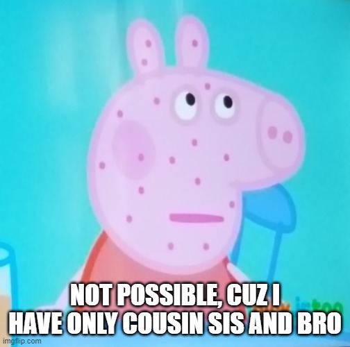 Peppa! What are you doing in my meme? | NOT POSSIBLE, CUZ I HAVE ONLY COUSIN SIS AND BRO | image tagged in peppa what are you doing in my meme | made w/ Imgflip meme maker