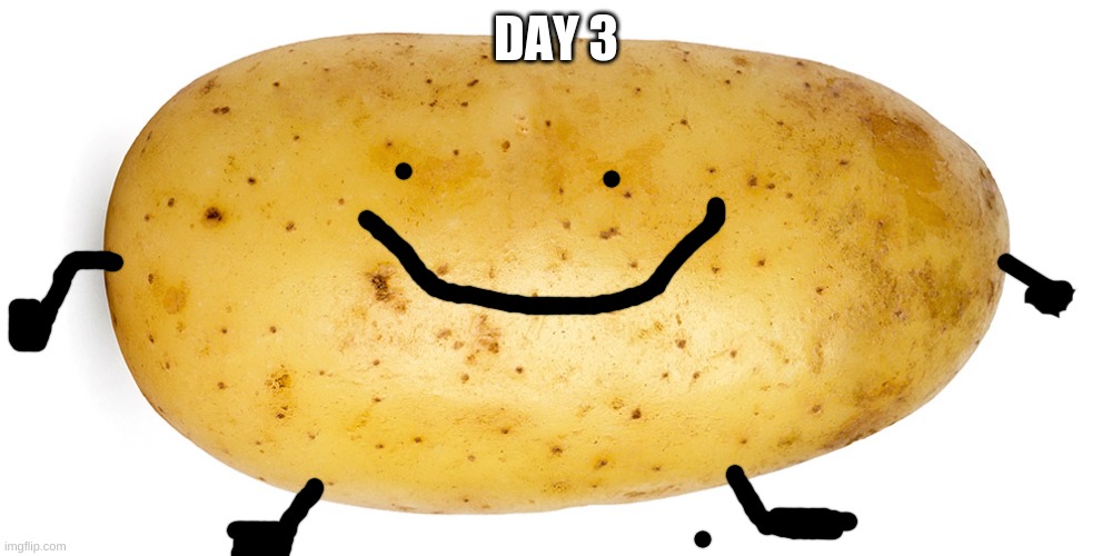 potato | DAY 3 | image tagged in potato | made w/ Imgflip meme maker