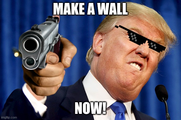 Donald Trump | MAKE A WALL; NOW! | image tagged in donald trump | made w/ Imgflip meme maker