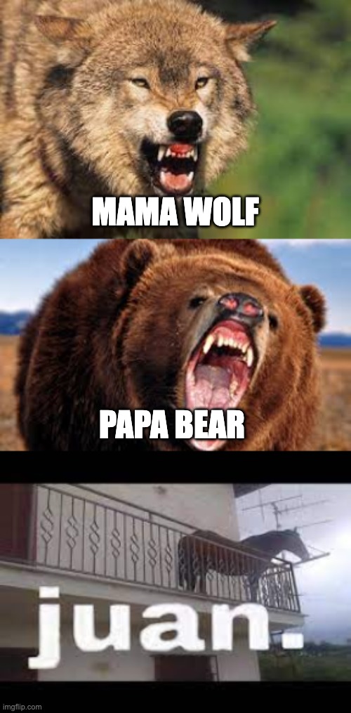 Juan | MAMA WOLF; PAPA BEAR | image tagged in juan | made w/ Imgflip meme maker