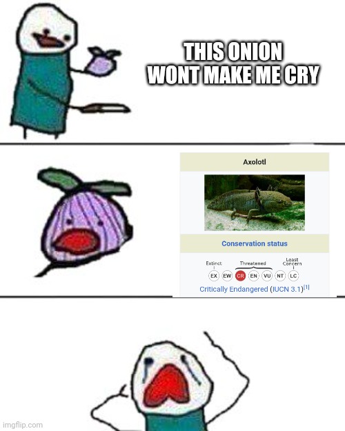 What have we done | THIS ONION WONT MAKE ME CRY | image tagged in this onion won't make me cry | made w/ Imgflip meme maker
