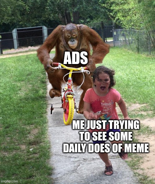 can you plz let me see MEME | ADS; ME JUST TRYING TO SEE SOME DAILY DOES OF MEME | image tagged in orangutan chasing girl on a tricycle,ads | made w/ Imgflip meme maker