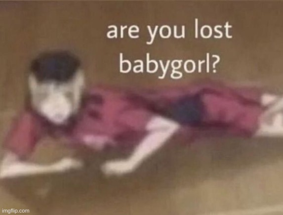 are you lost babygorl | image tagged in are you lost babygorl | made w/ Imgflip meme maker