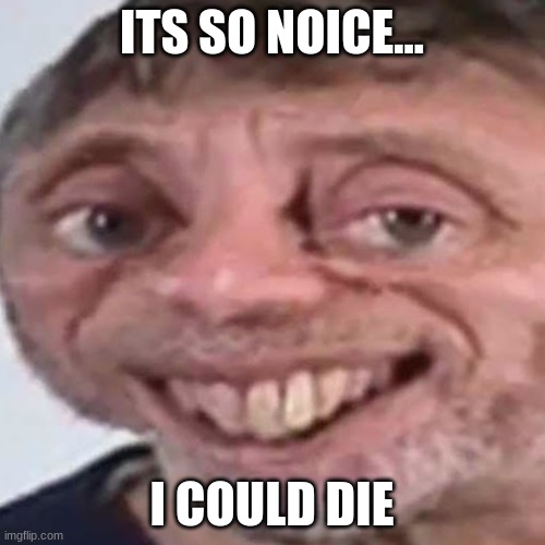 Noice | ITS SO NOICE... I COULD DIE | image tagged in noice | made w/ Imgflip meme maker