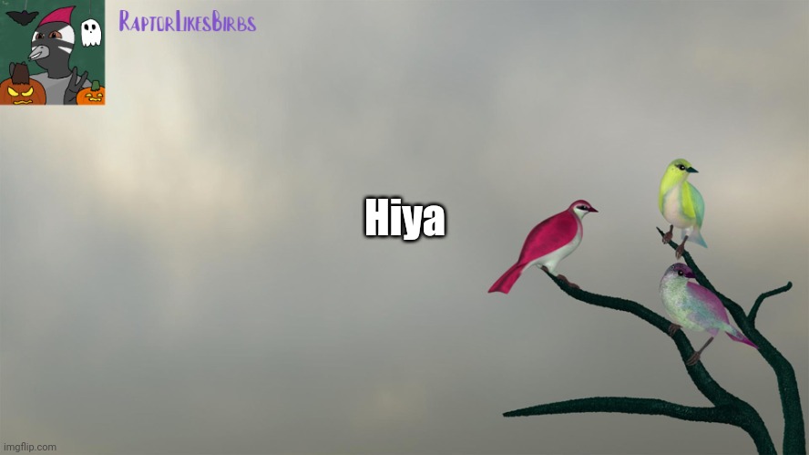 o/ | Hiya | image tagged in raptor's template | made w/ Imgflip meme maker
