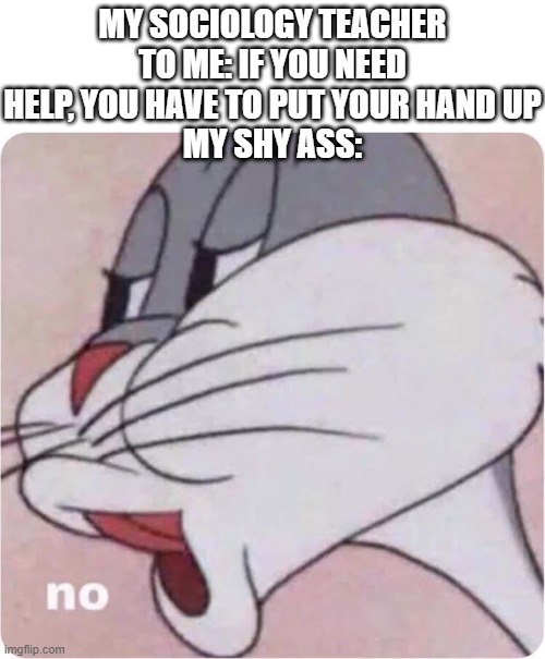 no | MY SOCIOLOGY TEACHER TO ME: IF YOU NEED HELP, YOU HAVE TO PUT YOUR HAND UP
MY SHY ASS: | image tagged in bugs bunny no | made w/ Imgflip meme maker