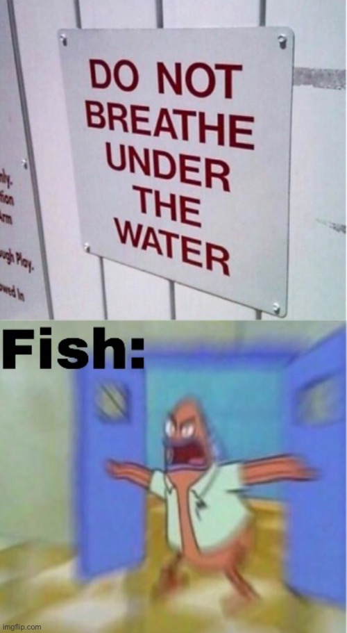 FISH ANGRY >:( | image tagged in memes,fish,spongebob,lol,help | made w/ Imgflip meme maker
