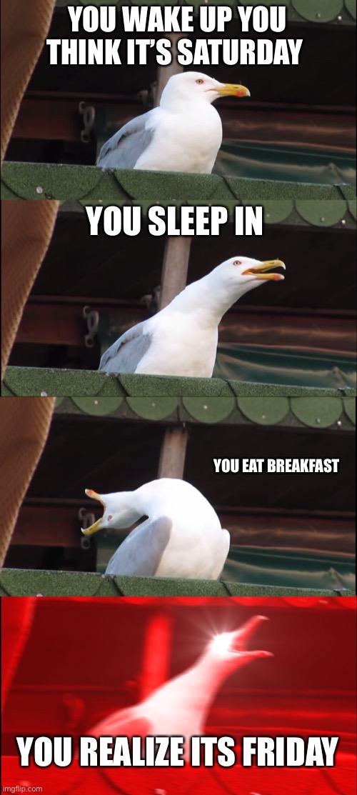 Inhaling Seagull | YOU WAKE UP YOU THINK IT’S SATURDAY; YOU SLEEP IN; YOU EAT BREAKFAST; YOU REALIZE ITS FRIDAY | image tagged in memes,inhaling seagull | made w/ Imgflip meme maker