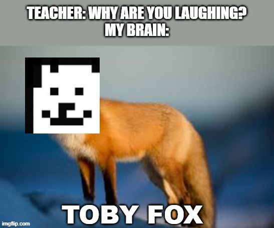 fox toby fox | image tagged in teacher what are you laughing at,its a fox,no its toby fox,well yes but actually no,well that escalated quickly,hello | made w/ Imgflip meme maker