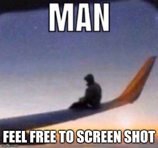 man | FEEL FREE TO SCREEN SHOT | image tagged in man feel free to screenshot | made w/ Imgflip meme maker