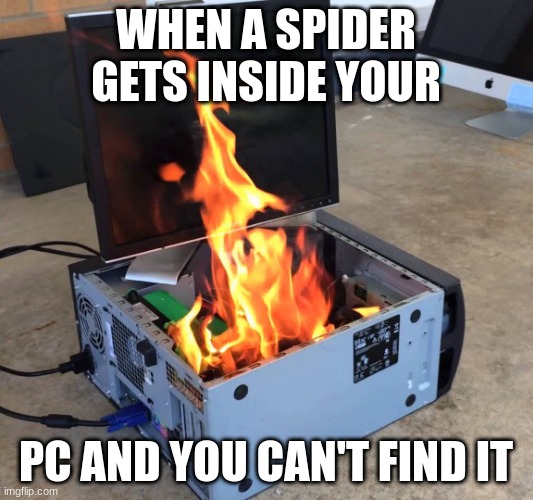 Spiders | WHEN A SPIDER GETS INSIDE YOUR; PC AND YOU CAN'T FIND IT | image tagged in pc on fire | made w/ Imgflip meme maker