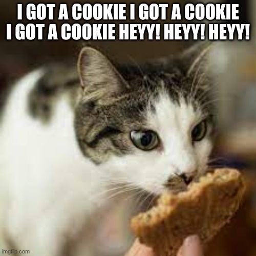 I GOT A COOKIE I GOT A COOKIE I GOT A COOKIE HEYY! HEYY! HEYY! | image tagged in lol | made w/ Imgflip meme maker